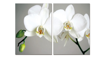 Фотокартина SC-9521AB -A