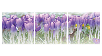 Фотокартина SC-9701ABC -A