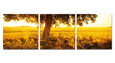 Фотокартина SH - 7244ABC -A