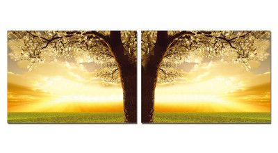 Фотокартина SH-7313AB -AA