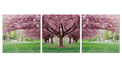 Фотокартина SH-7432ABC