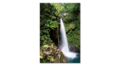 Фотокартина SH-7538