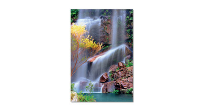 Фотокартина SH-7739